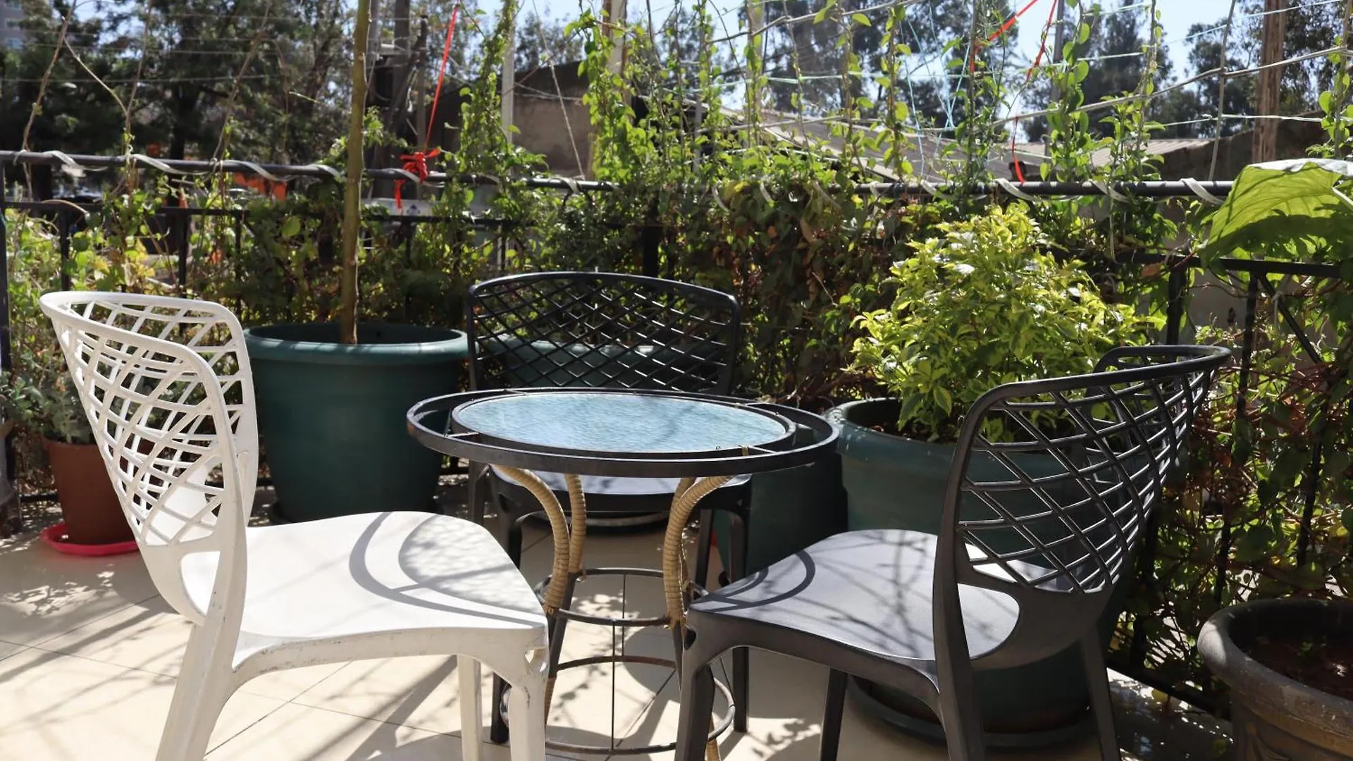 ***  Blue Birds International Hotel Addis Ababa Ethiopia